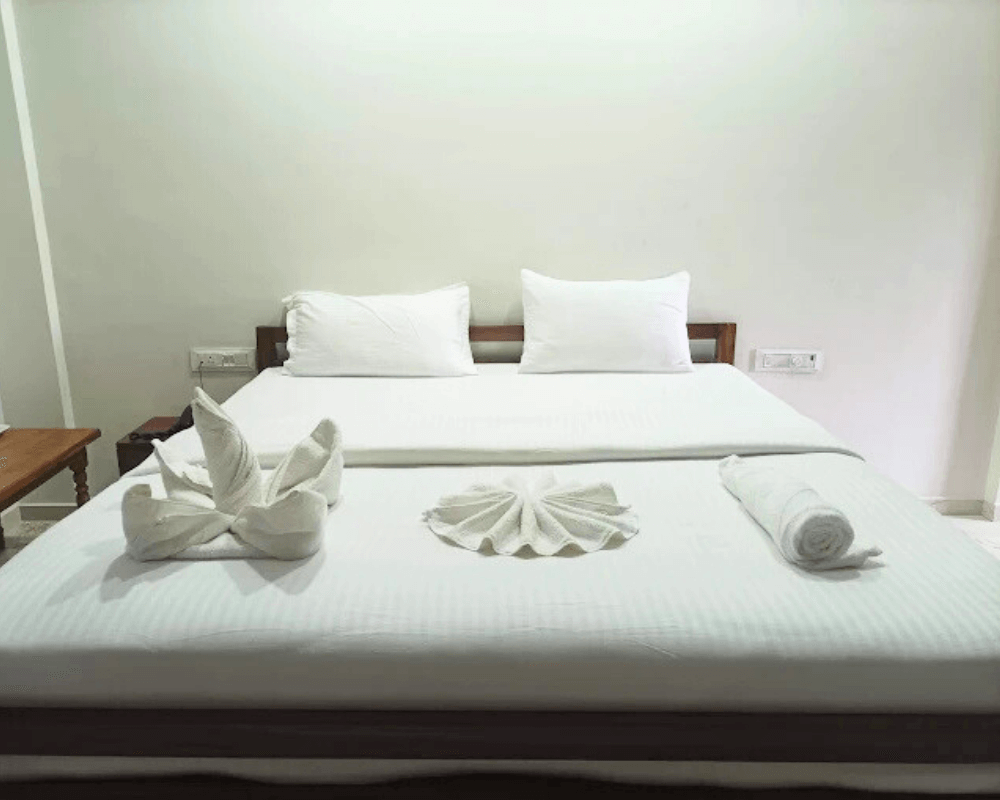 clean hotel rooms in navsari